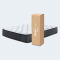 Sierra Sleep 12inch Plush & South Bay Pro S3 Adjustable Bundle by Cloudy