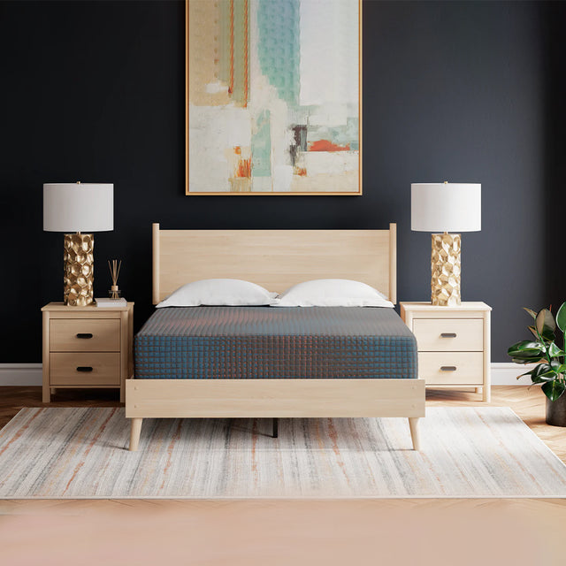 Hot Buy 13 Inch Firm Hybrid Mattress by Ashley