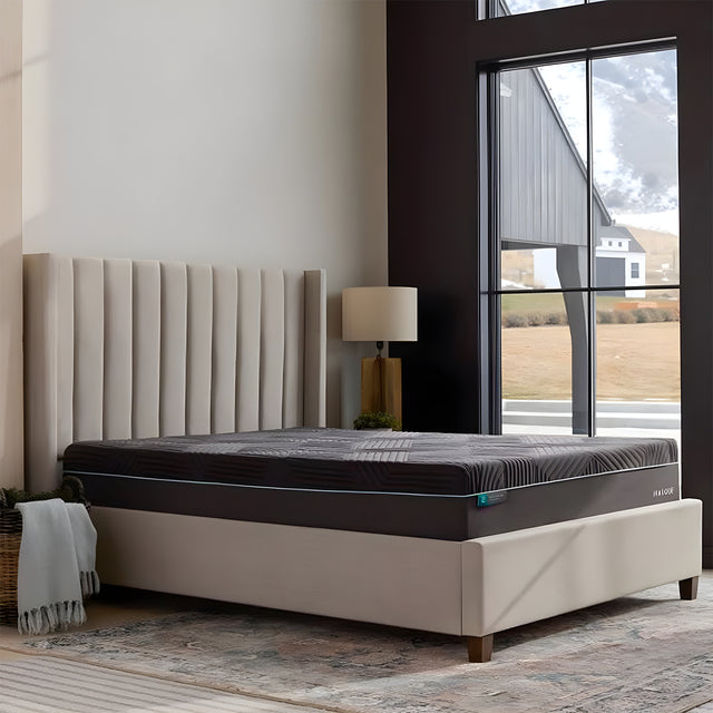 Ice Cloud™ 14" Aeroflex™ Hybrid Mattress by Malouf