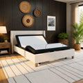 Sierra Sleep 12inch Plush & South Bay Pro S3 Adjustable Bundle by Cloudy