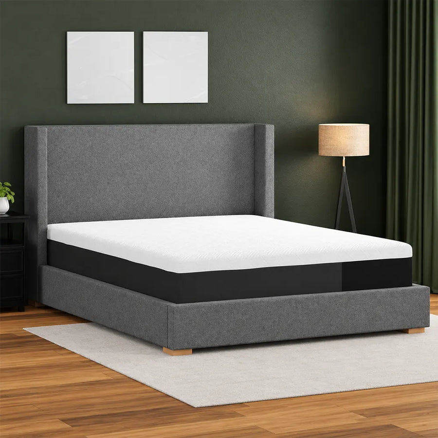 Essentials Soft Memory Foam 12 Inch Mattress by South Bay