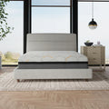 South Bay Copper-Gel 14inch Plush & South Bay Lumbar S6 Adjustable Bundle by Cloudy