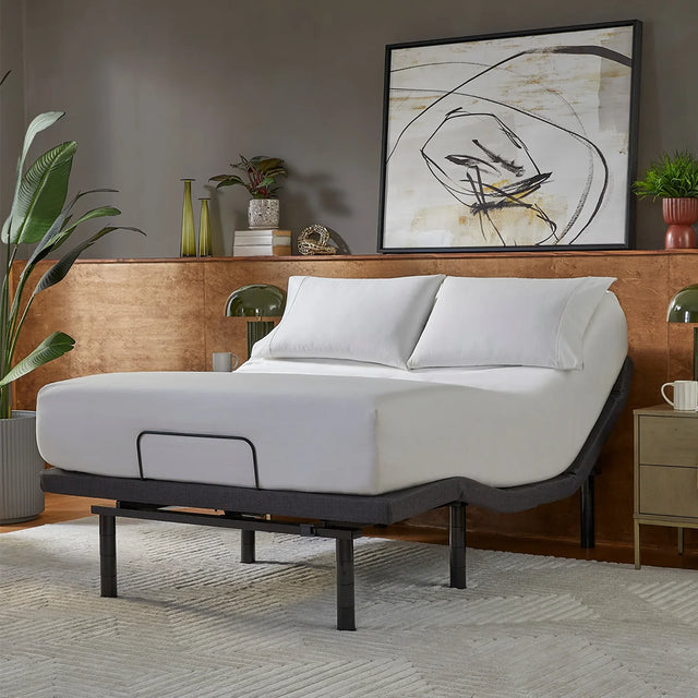 Baselogic Platinum Adjustable Base, Wireless, 4-Motor System, Active Lumbar, Pillow Tilt, Voice Control, Bluetooth App, Dual-Zone Resonance Massage, LED, 850 lb Capacity by Serta