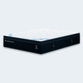 DreamCloud Premier 13inch Hybrid & South Bay Pro S4 Adjustable Bundle by Cloudy