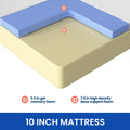 American Bedding Maya 10inch Firm & South Bay Pro s2 Adjustable Bundle by Cloudy