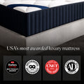 DreamCloud Classic 12inch Hybrid & South Bay Adjustable Bundle by Cloudy