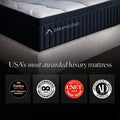 DreamCloud Premier 13inch Hybrid & South Bay Pro S4 Adjustable Bundle by Cloudy