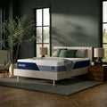 Nectar Premier 13inch Memory Foam & South Bay Pro S4 Adjustable Bundle by Cloudy