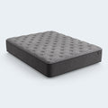 Side view of the Dreamstage 2.0 Genuine Quilted Mattress highlighting the 12-inch profile and high-density foam support layers.
