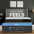 Essentials Soft Memory Foam 12 Inch Mattress by South Bay