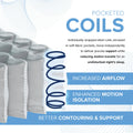 Diagram of Individually wrapped steel pocketed coils in the EcoCore Hybrid Deluxe mattress for precise support and enhanced motion isolation.
