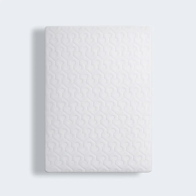 Dri-Tec Sofa Bed Mattress Protector by BEDGEAR