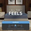 Mattress comfort scale for ActiveAlign showing a "Medium" firmness rating, recommended for side, stomach, and back sleepers.
