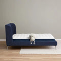 Serta Perfect Day Medium Mattress in a Box on a blue frame with the iconic Serta sheep plush.
