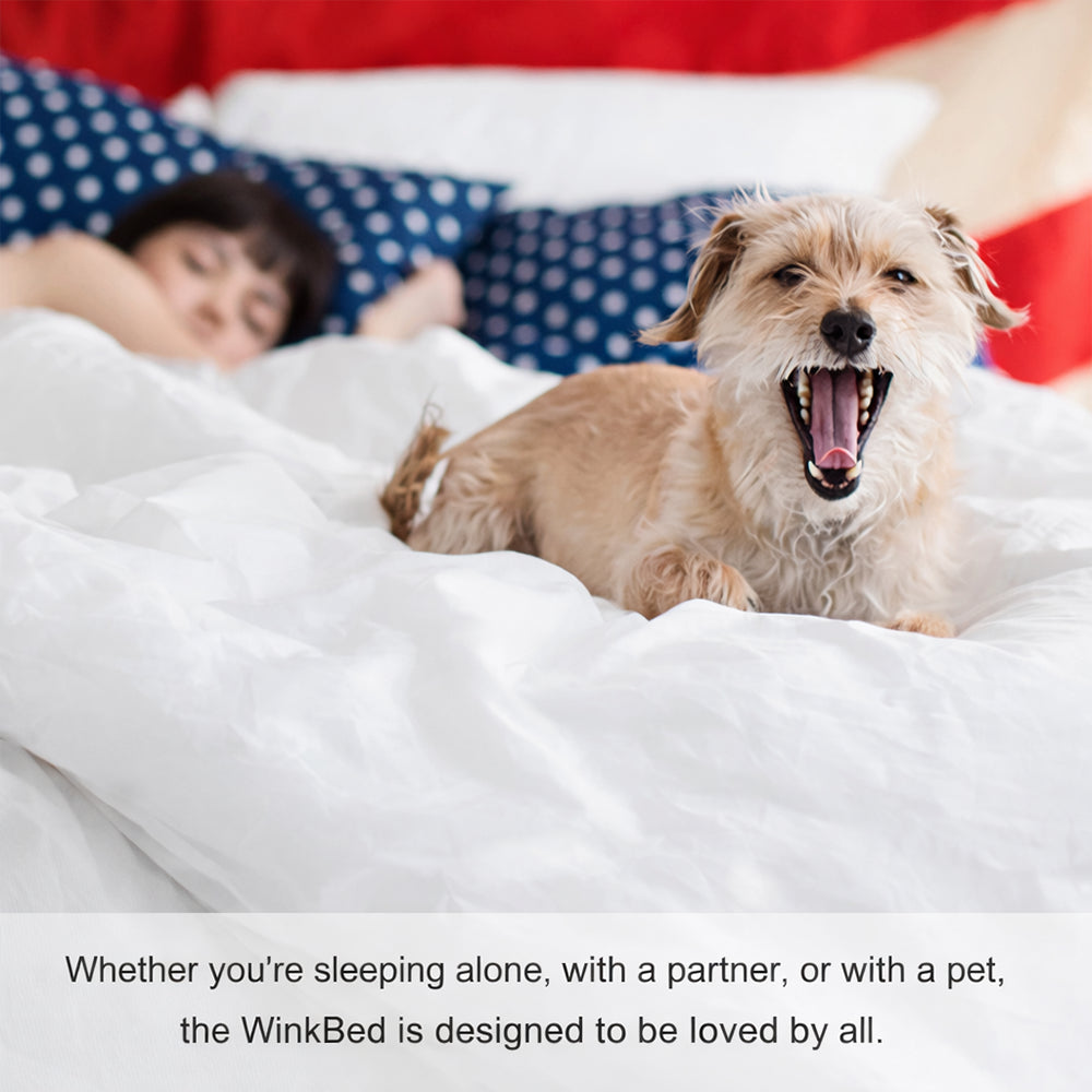  A small dog yawning on a plush white WinkBed mattress, demonstrating comfort and cooling for solo sleepers, partners, and pets.