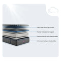 Beautyrest World Class mattress diagram showing premier pocketed coil support and multi-layer pressure relief.
