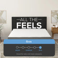 Firmness scale infographic highlighting the South Bay Daisy mattress as a "Firm" feel, specifically recommended for side and back sleepers.
