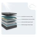 Allureluxe Bamboo Hybrid 12inch & South Bay Pro S4 Adjustable Bundle by Cloudy