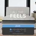 Plush firmness scale graphic for the 14-inch South Bay hybrid mattress, specifically recommended for side sleepers.
