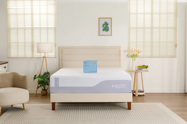 MP Polyester Knit Single Sided Mattress Protector by MLILY