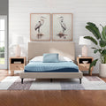 Modern bedroom interior featuring the Peak 2.0 Memory Foam 8-inch Mattress on a tan upholstered platform bed frame with contemporary decor.
