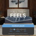 Firmness scale for the ActiveAlign 14-inch hybrid mattress indicating a medium-plush comfort level suitable for all sleepers.
