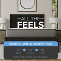 Firmness level graphic showing the iSwitch mattress provides both medium-soft and medium-firm feels by flipping the mattress.
