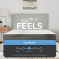 Firmness scale for the South Bay Rose mattress indicating a "Medium" feel, recommended for side, stomach, and back sleepers.

