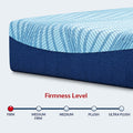 Firmness level scale for the Ashley Peak 2.0 10-inch mattress indicating a firm comfort rating with a close-up of the blue wave pattern performance fabric.
