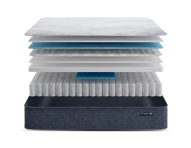 Serta Perfect Day 12" Pillow Top Plush Mattress in a Box