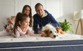American Bedding 12 " Faux Plush Euro Top Hybrid Mattress by Corsicana