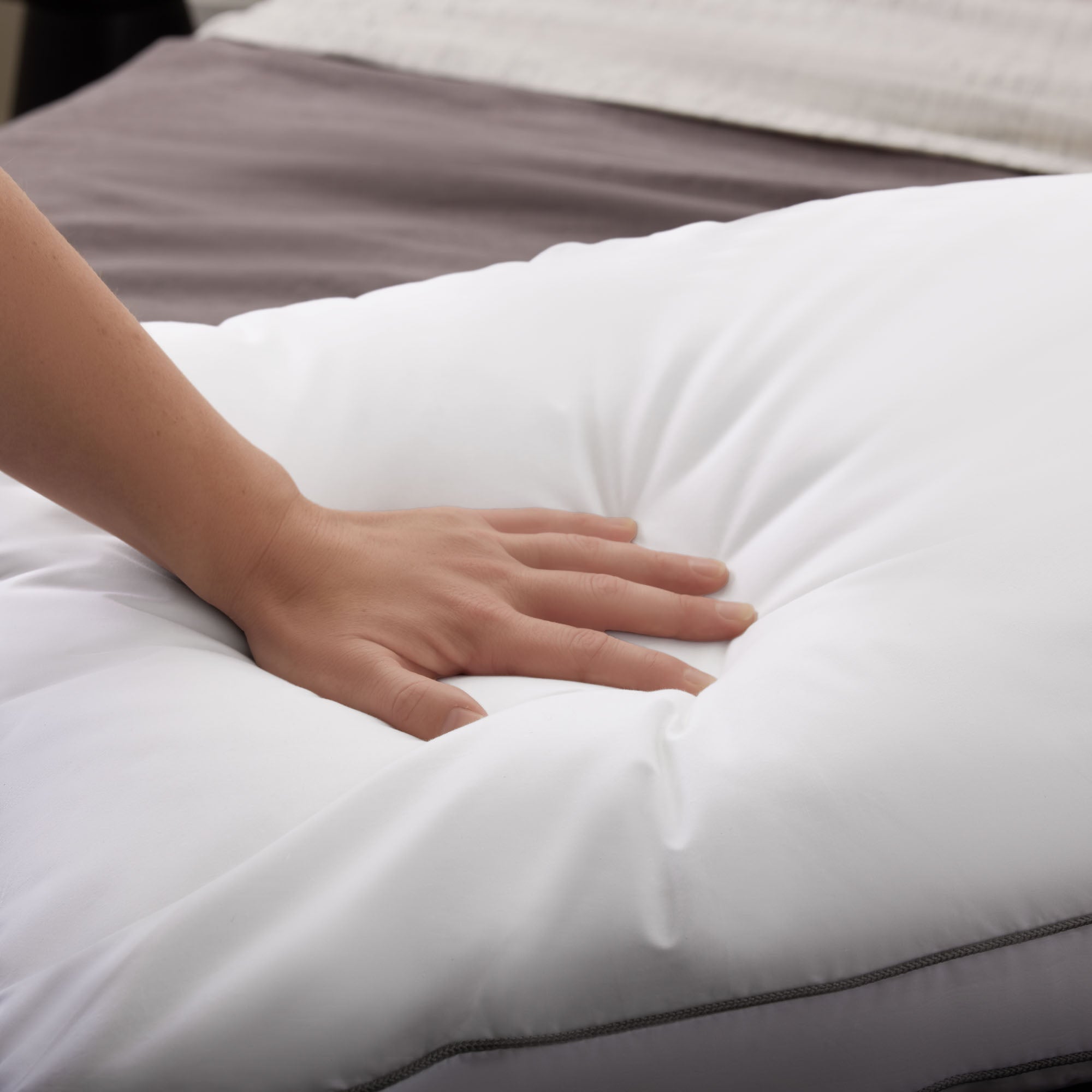 Neeva Universal Pillow By Malouf