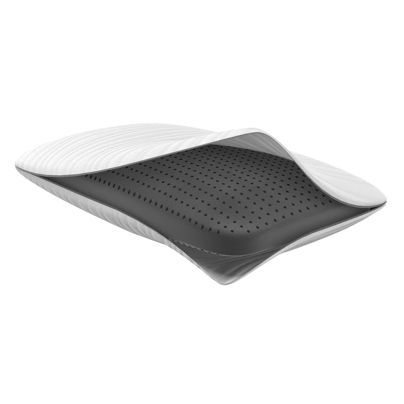Bamboo Charcoal Infused Memory Foam Pillow By South Bay