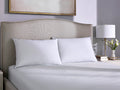 SleepTone Loft Feather & Down Pillow