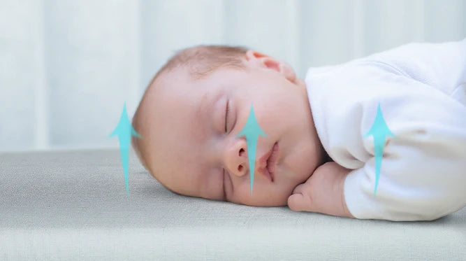 Product Feature Image