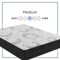Sherwood Gleason NYX Medium 12 Inch Mattress