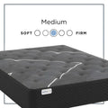 Sherwood Salem 10 Inch Firm Mattress