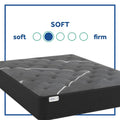 Sherwood Salem 12 Inch Plush Mattress