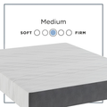 Sherwood Winston 8 Inch Medium Mattress