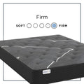 Sherwood Salem 8 Inch Medium Mattress
