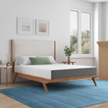 Sherwood Winston 8 Inch Medium Mattress