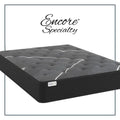 Sherwood Salem 12 Inch Plush Mattress