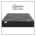 Sherwood Salem 10 Inch Firm Mattress