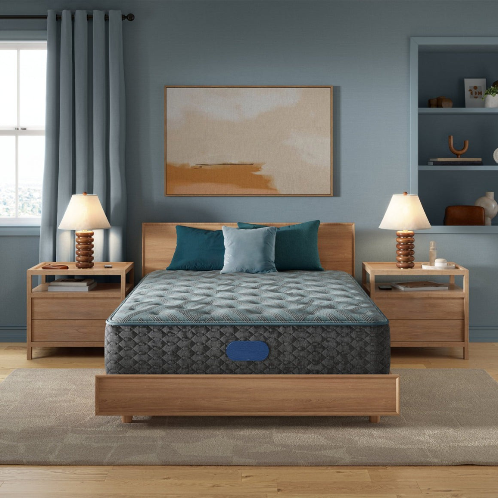 Closeout - Level One Plush 13.75" Mattress
