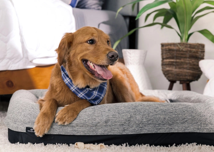 Performance® Dog Bed