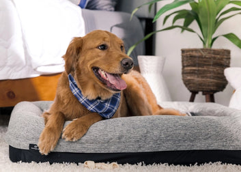 Performance® Dog Bed