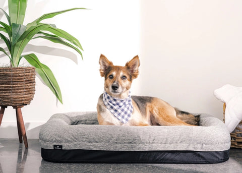 Performance® Dog Bed