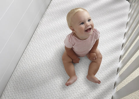 BEDGEAR Dri-Tec Crib Mattress Protector