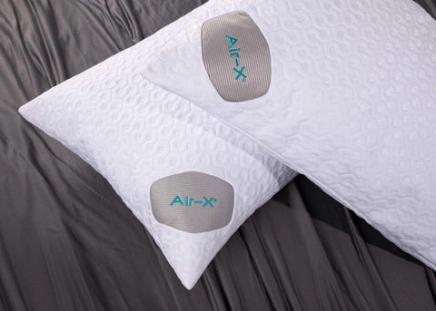 BEDGEAR Dri-Tec Pillow Protector