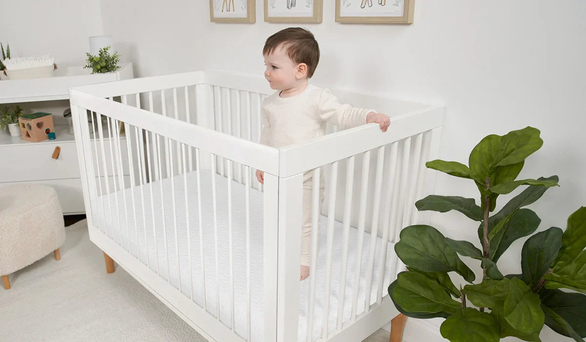Product Feature Image